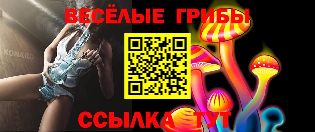 Киселёвск  Галлюциногенные грибы мицелий  Вход с VPN 